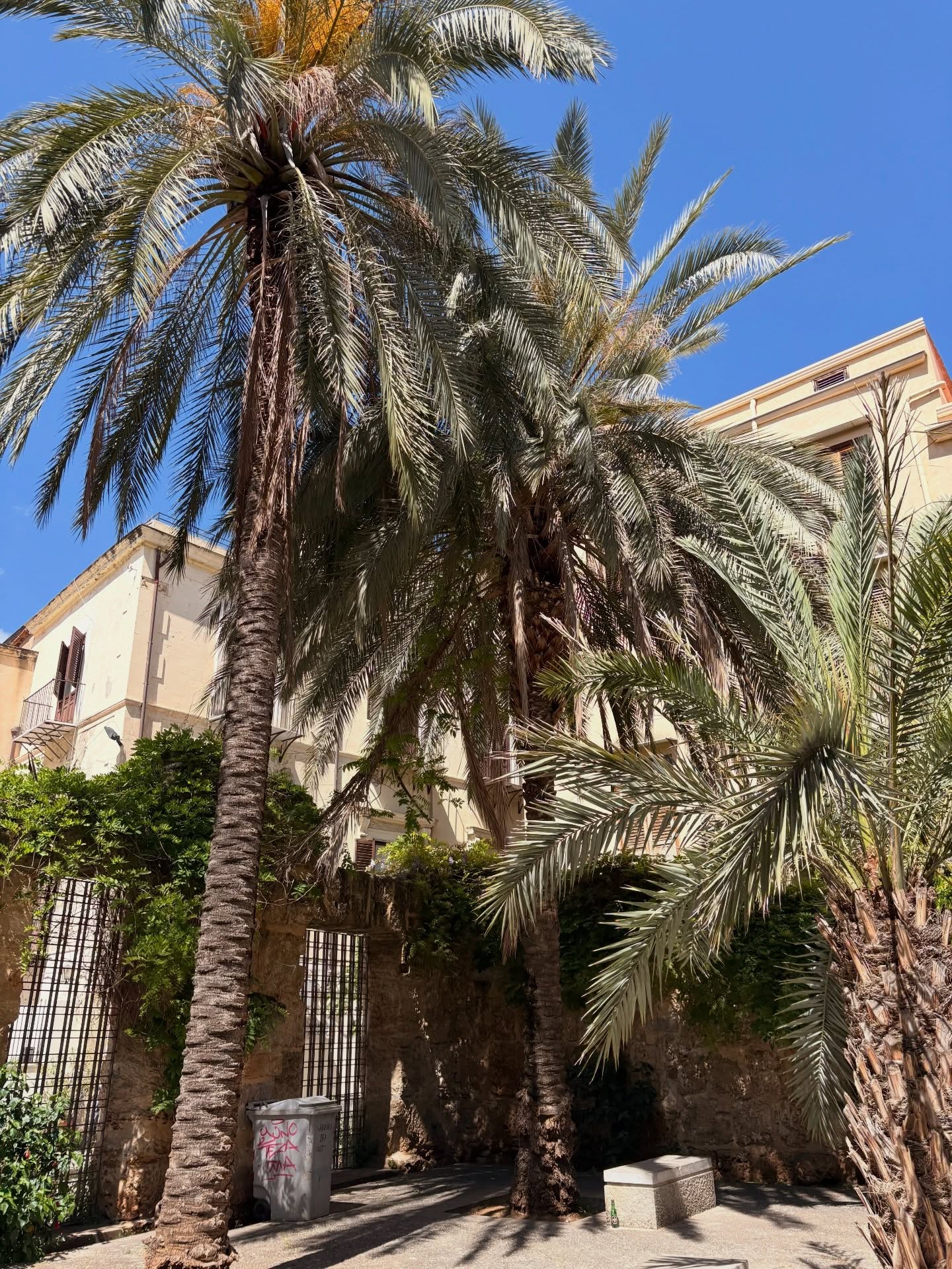 Sicily